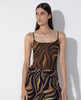 ZEBRA DOURADA / P
