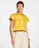 AMARELO TARSILA / 36